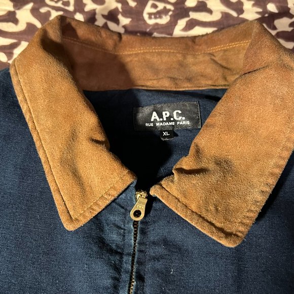 APC Blue Bomber with Light Brown Collar - Picture 3 of 3